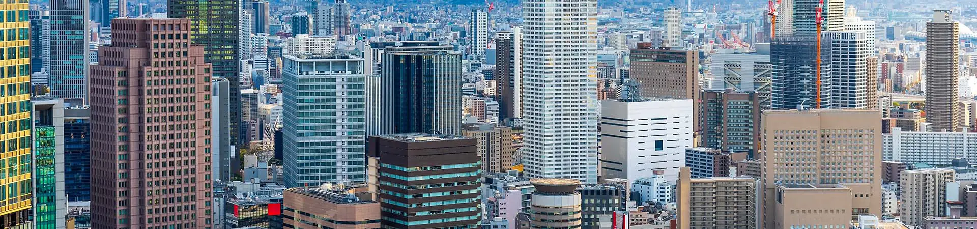 Japan Investment
