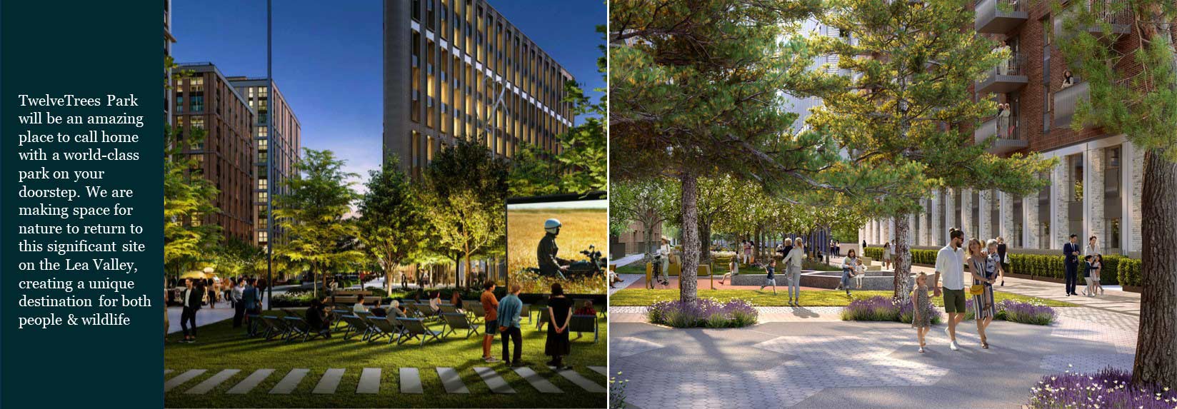 twelve-trees-interior-4