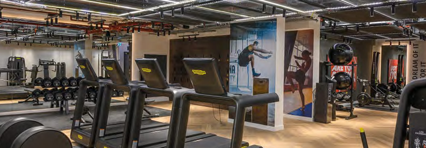 the-exchange-gym